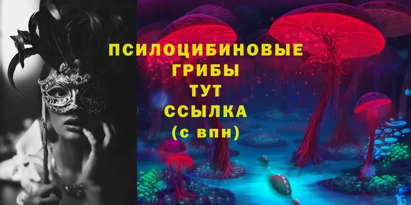 Галлюциногенные грибы MAGIC MUSHROOMS  сколько стоит  Нестеровская 